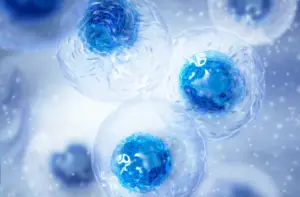 2-1-now-many-eggs-should-you-freeze